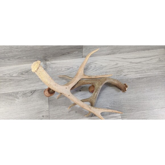 Set of 2 Faux Rustic Deer Antler Candelabra Taper Candle Holders - A PAIR 16" - Picture 8 of 10